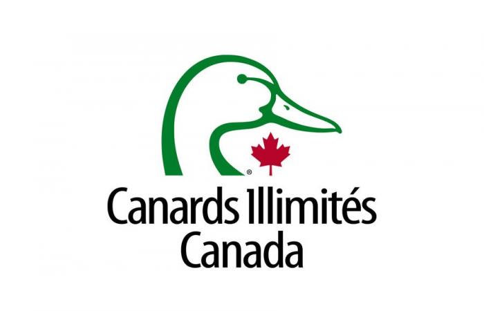 Ducks Unlimited Canada lancia un programma di adesione innovativo per rafforzare l’impatto sulla conservazione – Vita in campagna