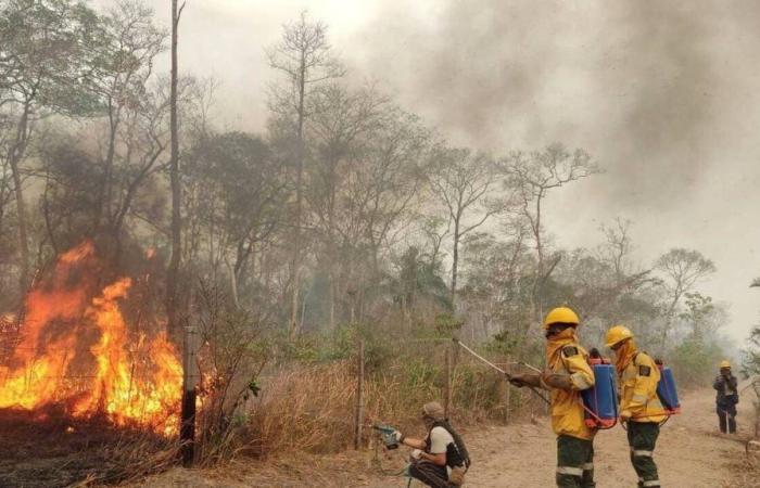 In Bolivia è andata in fumo una superficie equivalente all’Irlanda