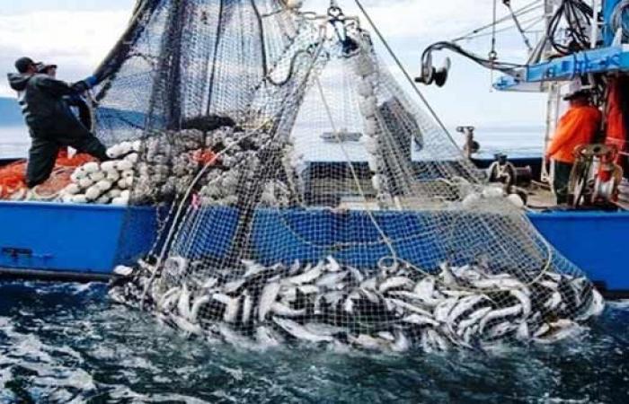 Leggero aumento degli sbarchi di pesca a fine agosto (ONP)