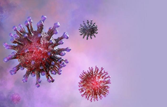 Alta concentrazione di coronavirus nelle acque reflue, il livello rimane elevato dall’estate