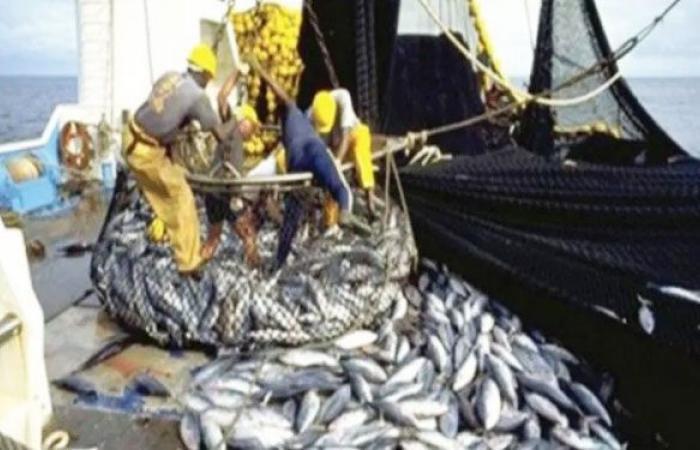 attenzione all’ispezione e al controllo sanitario dei prodotti della pesca