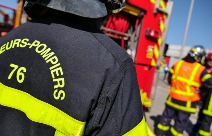 A Le Havre. Una serie di incendi nel quartiere di Massillon nella notte