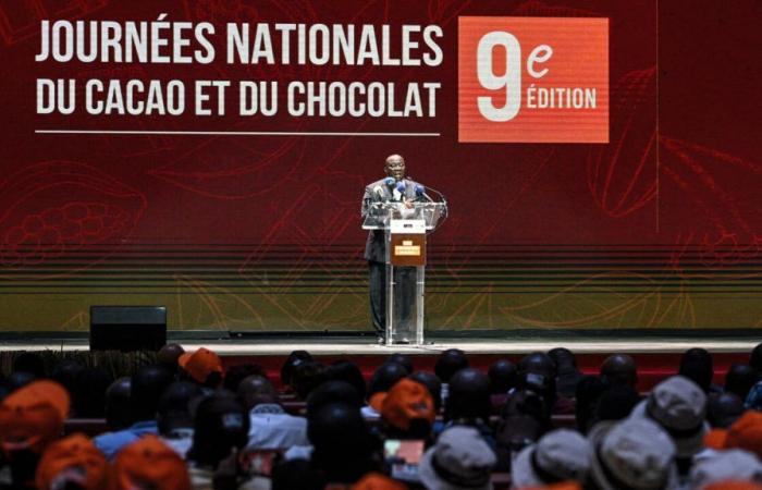 aumento significativo del prezzo del cacao, tuttavia inferiore a quello mondiale