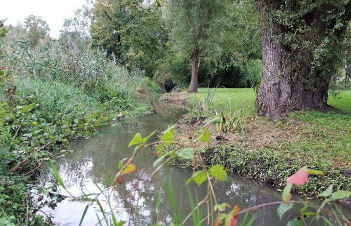 i fiumi Bionne e Cens preservati per la biodiversità e i rischi di alluvioni