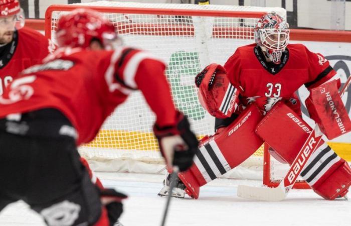 L’LHC inizia la sua settimana con l’accoglienza dell’HC Bienne oggi all’arena Vaudoise – Lausanne HC