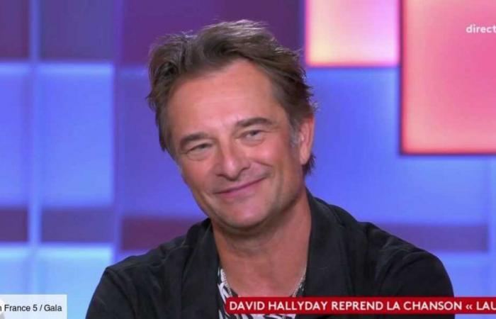 David Hallyday tentato da un duetto con la sorella Laura: “Glielo avevo già chiesto”