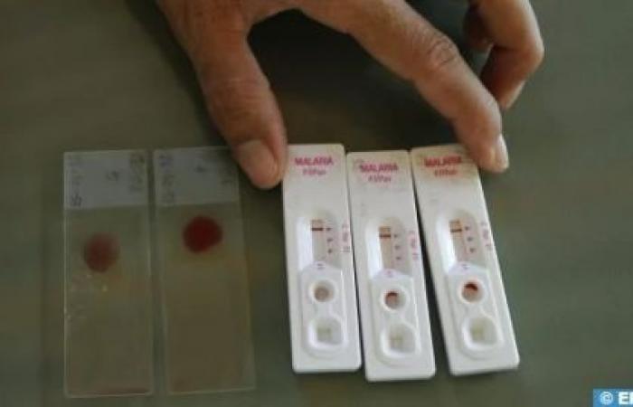 La malaria si diffonde nel sud dell’Algeria