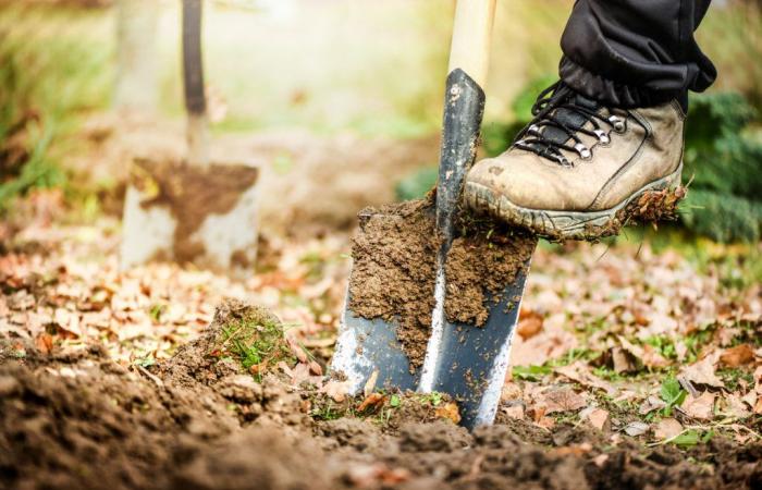 l’uomo fa una scoperta disgustosa nel suo giardino