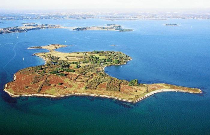 Il progetto delle maree del Golfo del Morbihan contestato al Consiglio di Stato