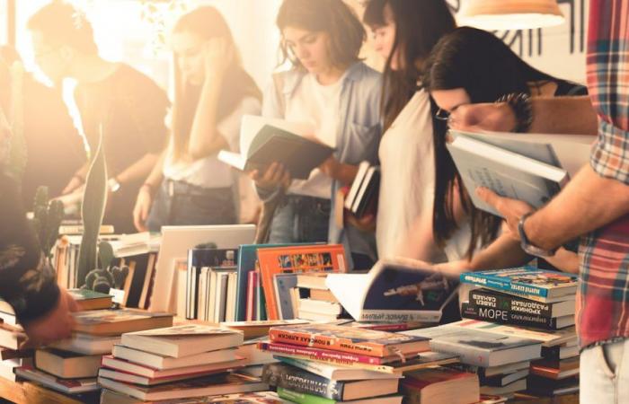 Le biblioteche della Gironda vendono tutti i loro libri e CD a 1€ a Bordeaux