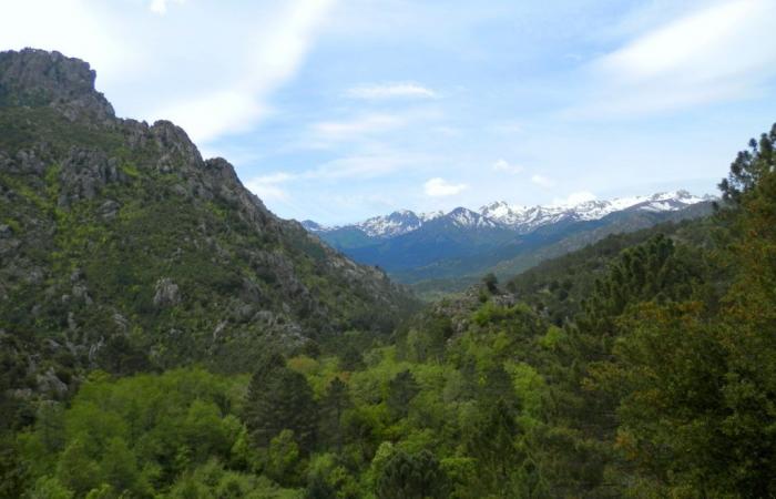 Riapertura delle terme di Pietrapola-les-Bains nella Corsica orientale