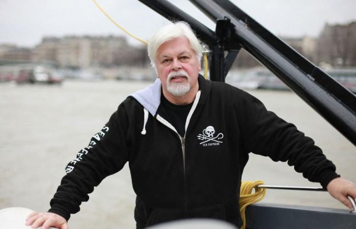 Nuova udienza sulla detenzione continuata dell’attivista ambientalista Paul Watson