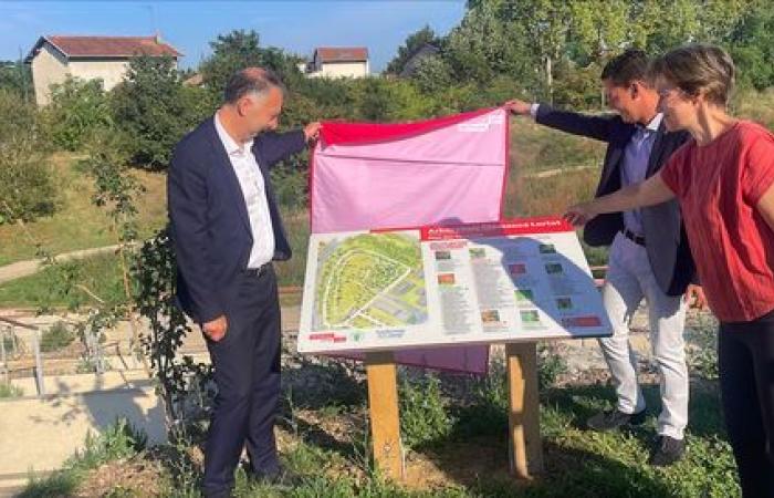 inaugurato il più grande parco fotovoltaico a terra della Metropoli