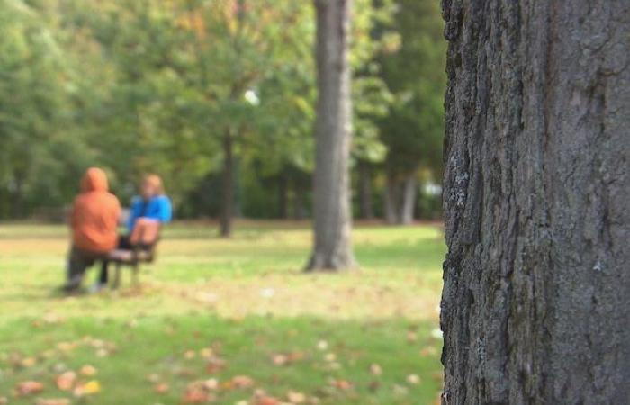 Un mese senza insegnante per una lezione a Shawinigan