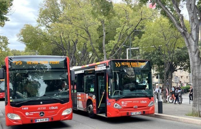 tutti questi autobus RTM sono interrotti