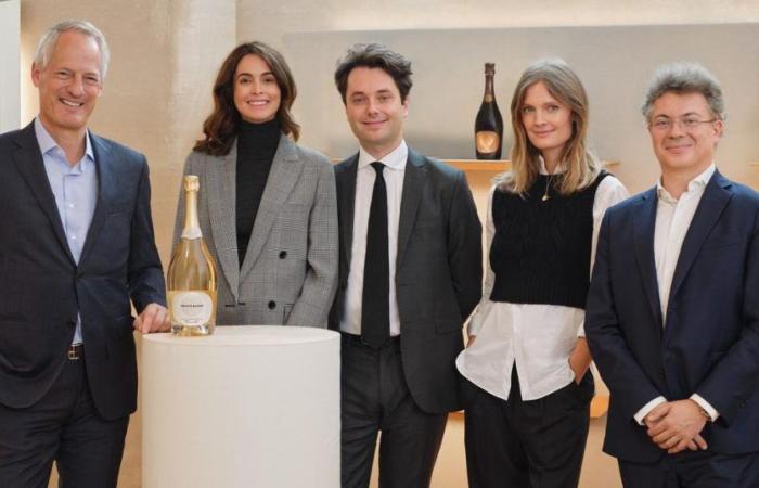 Moët Hennessy si lancia nel vino dealcolizzato premium investendo in French Bloom