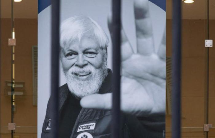 Groenlandia. La detenzione del difensore delle balene Paul Watson è stata nuovamente prolungata