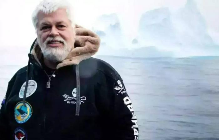 prorogata fino al 23 ottobre la detenzione dell’attivista ambientalista Paul Watson