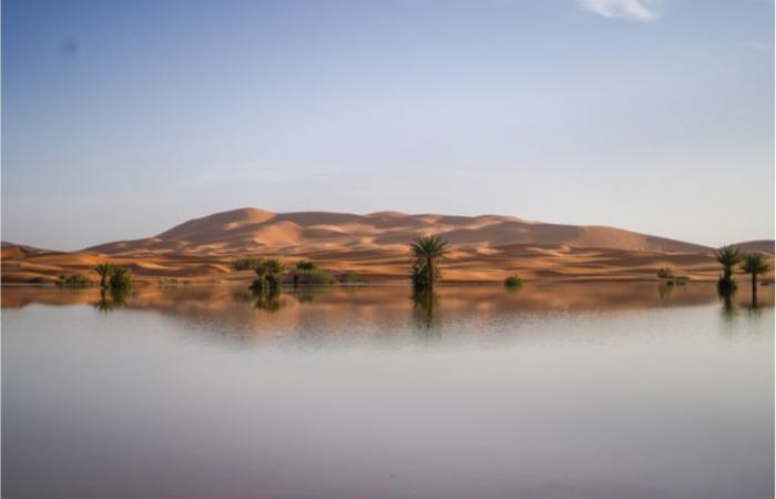 Immagini. Merzouga, un’oasi inaspettata dopo piogge eccezionali