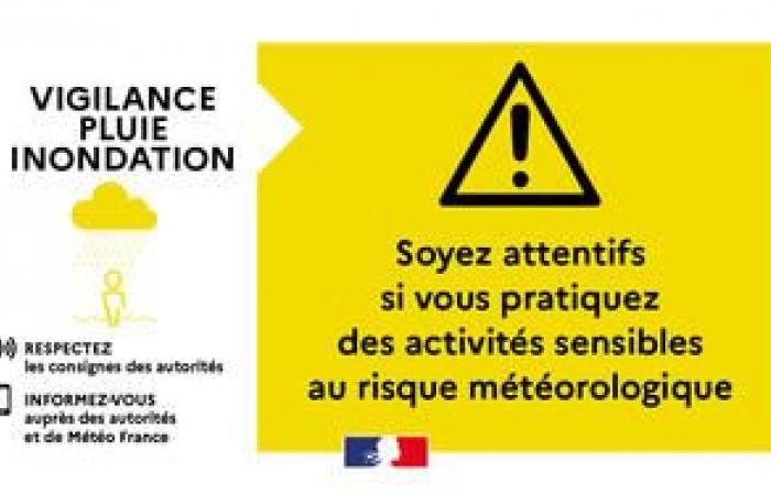 SMS di vigilanza gialla “pioggia e alluvione” il 03/09 dalle 4 alle 16 – Vigilanza meteorologica – Rischi naturali – Prevenzione dei rischi – Transizione ecologica, ambiente e prevenzione dei rischi – Azioni dello Stato