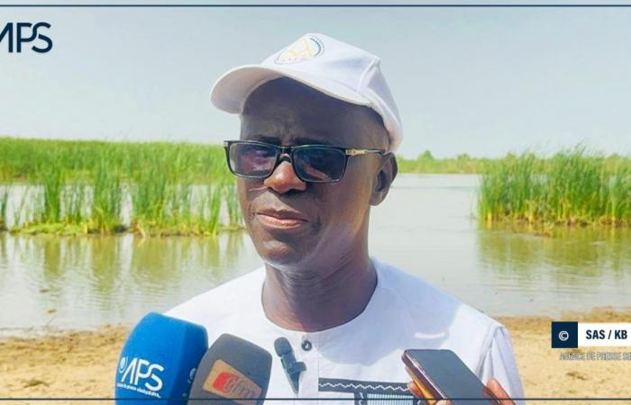 SAED annuncia un rafforzamento delle attrezzature agricole – Agenzia di stampa senegalese