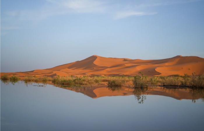 Immagini. Merzouga, un’oasi inaspettata dopo piogge eccezionali