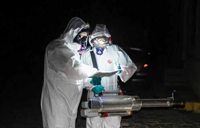 un’operazione eccezionale di lotta contro le zanzare la prossima notte in un quartiere di Nantes per combattere la febbre dengue