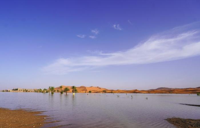 Immagini. Merzouga, un’oasi inaspettata dopo piogge eccezionali