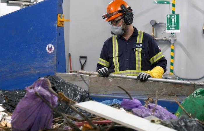 Ecco da dove viene l’odore di “rapa marcia” in Quebec