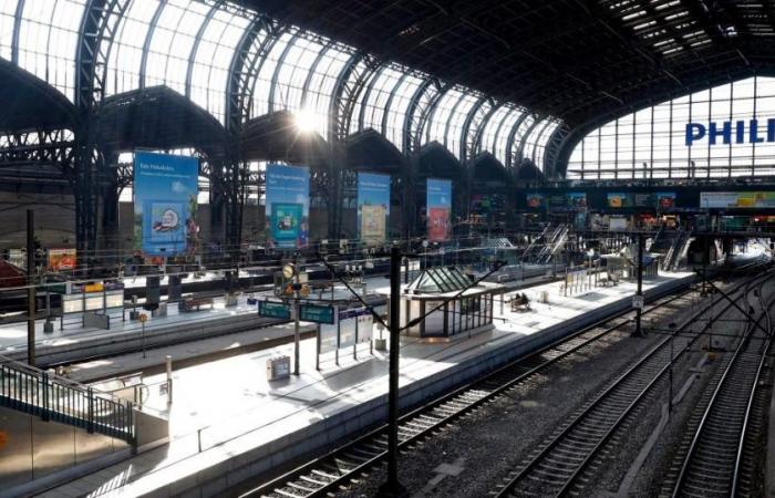 I passeggeri “affetti da un virus mortale senza cura” provocano il blocco della stazione ferroviaria