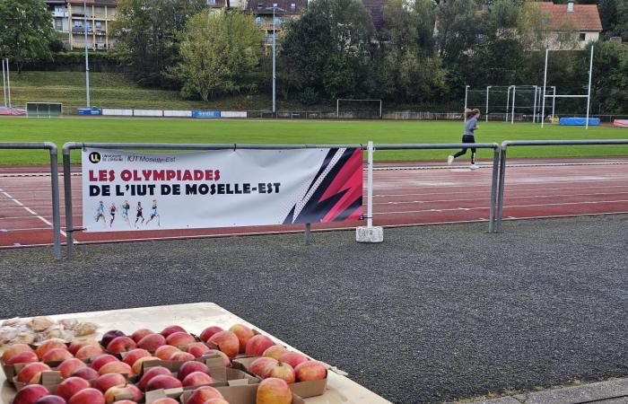 165 studenti dell’IUT della Mosella-Est gareggiano durante la 1ª Olimpiade