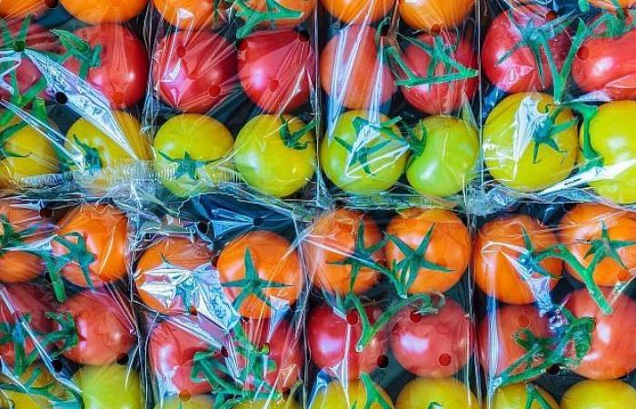 Il prezzo dei pomodori aumenta del 37%. Il valzer delle etichette non è destinato a finire.