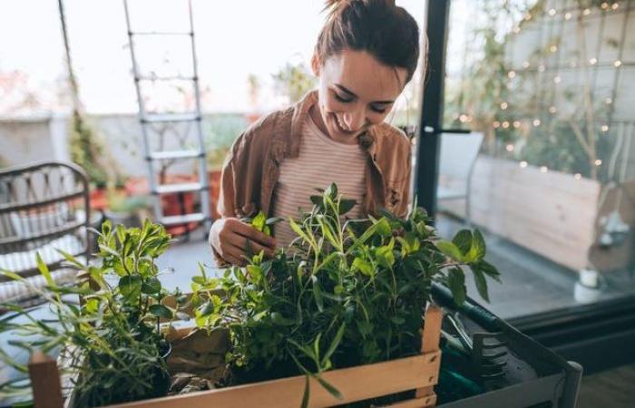 Come richiedere un permesso ecologico in Ile-de-France?