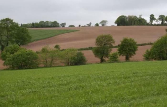 In Francia i prezzi dei terreni agricoli sono aumentati dell’1,6%.