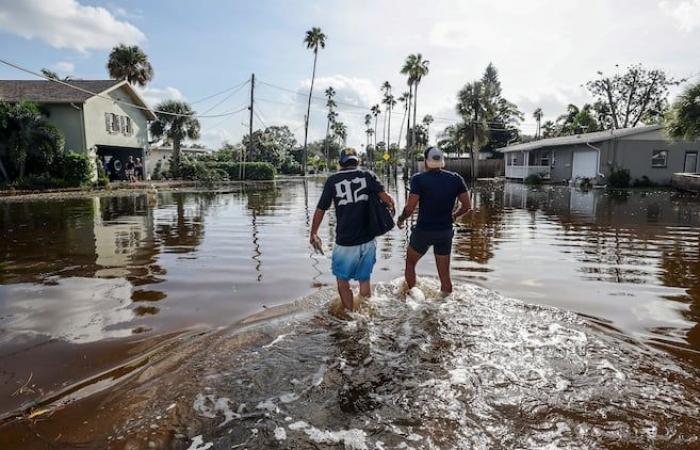 Quebec e Giappone sosterranno la Florida