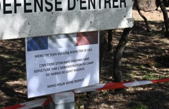 La giornalista dell’AFP Lucie Peytermann riceve il premio “generale François Meyer” per la sua serie di inchieste e reportage sui cimiteri improvvisati dei bambini harki in Francia