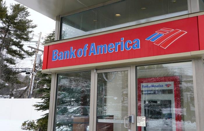 Interruzione della Bank of America: conti non disponibili, saldi a zero