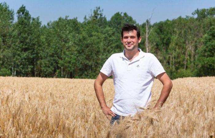 nella Seine-et-Marne “c’è un’emergenza” per il mondo agricolo in piena crisi