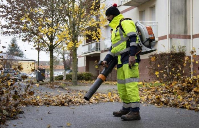 A Châlons è iniziata la campagna di raccolta delle foglie