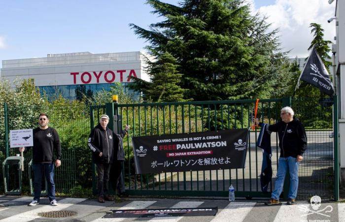 Attivisti anti-caccia alle balene si incatenano davanti alla Toyota a Onnaing