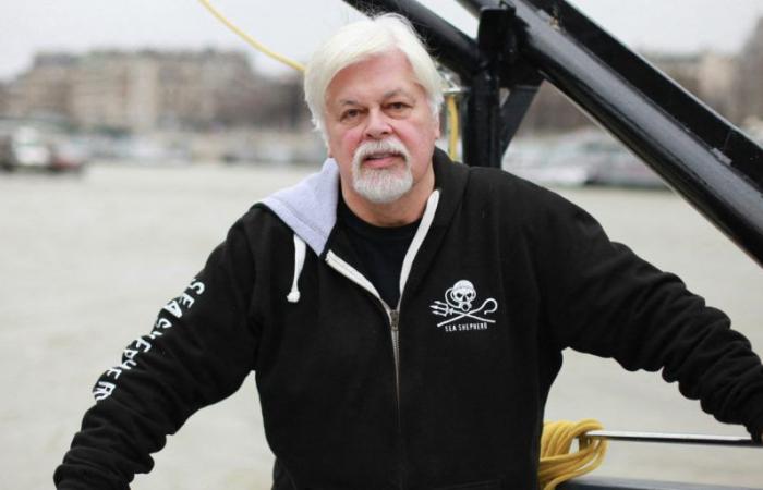 la detenzione dell’attivista ambientalista Paul Watson è stata prorogata fino al 23 ottobre