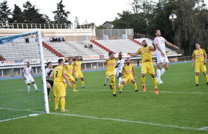 quali sono i manifesti dei club di Roannais?