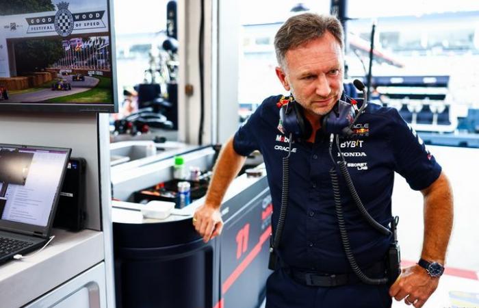 Formula 1 | Horner mette in prospettiva le partenze di Newey e Wheatley