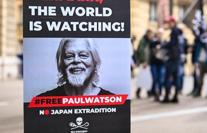 Prorogata la detenzione dell’attivista ambientalista Paul Watson