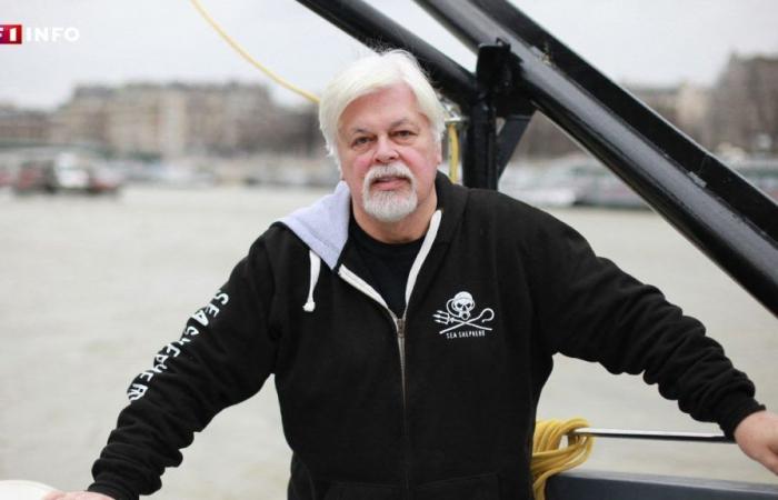 L’attivista ambientalista Paul Watson detenuto in Groenlandia fino al 23 ottobre