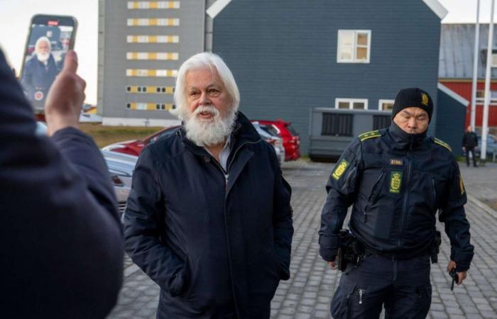 Il difensore delle balene Paul Watson rimane in prigione, prolungamento “sproporzionato”, dicono i difensori