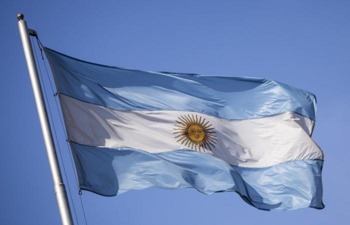 Con Colapinto titolare, l’Argentina sogna il ritorno in F1