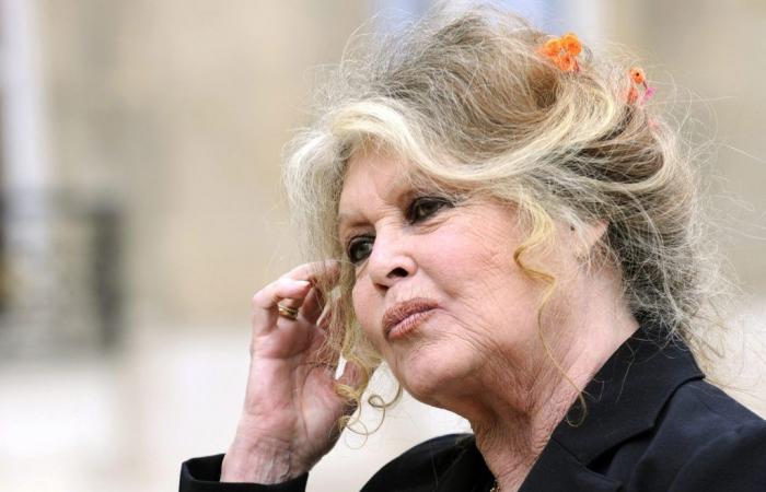 perché Brigitte Bardot ha avuto un ruolo nella creazione della ONG?