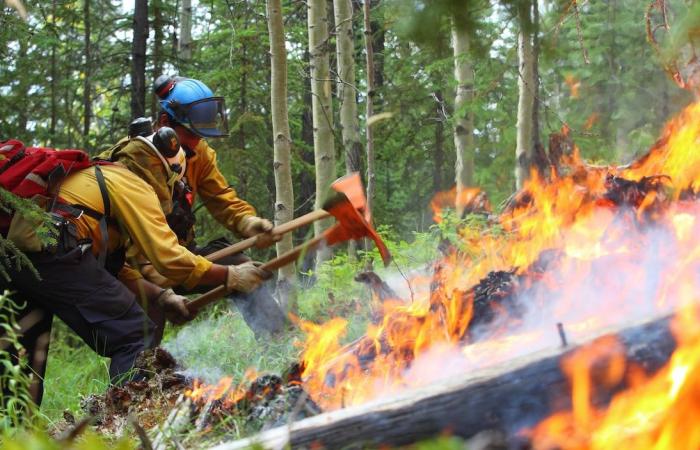 La lunga strada dei fuochi culturali nello Yukon – Guardando all’Artico