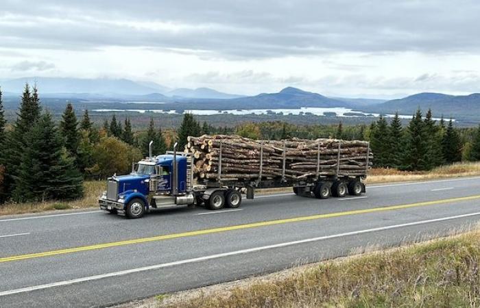 Jackman, Maine: l’entroterra di Trump al confine con la Beauce | Elezioni americane 2024